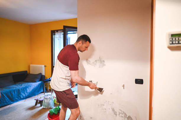 Best DIY Mold Remediation Support Services in La Quinta, CA
